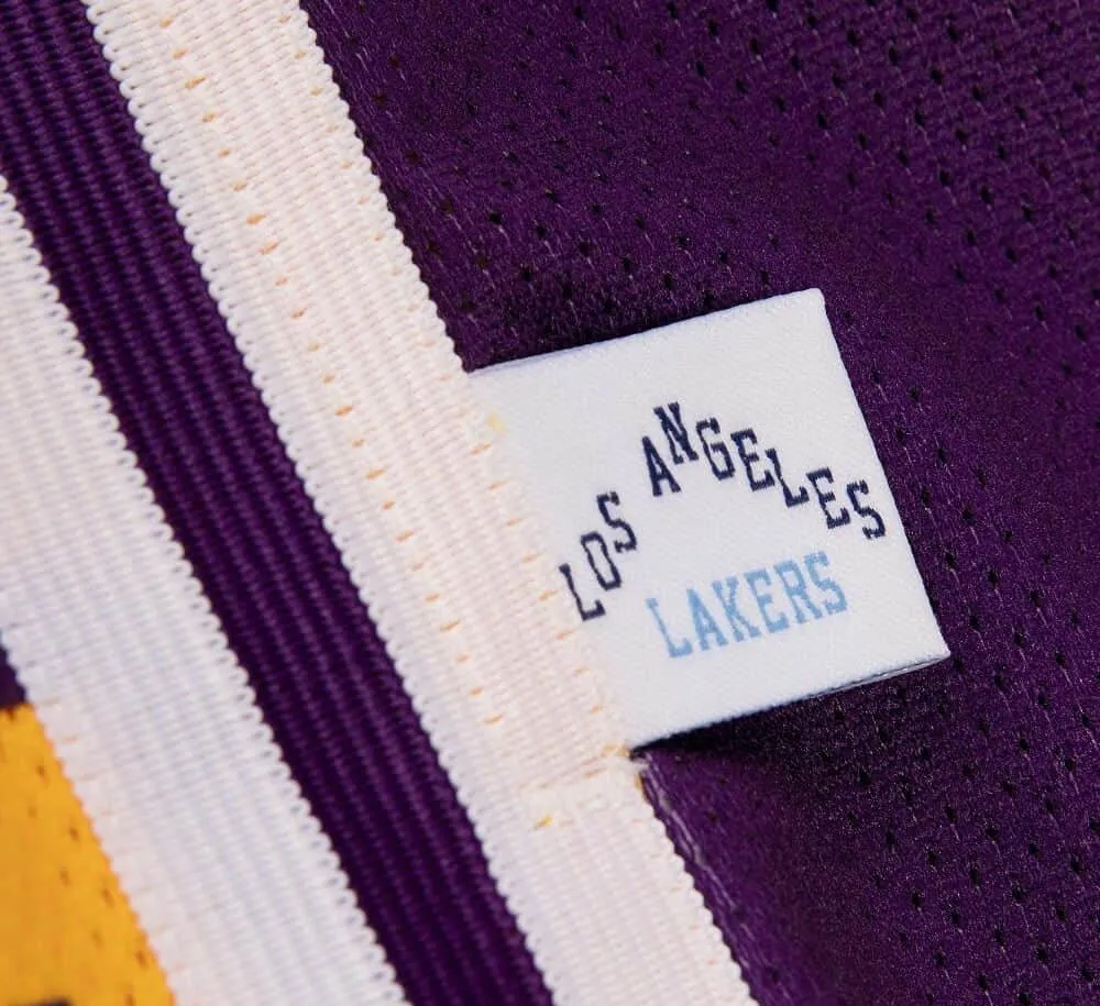 BIG FACE 2.0 SHORTS - LOS ANGELES LAKERS