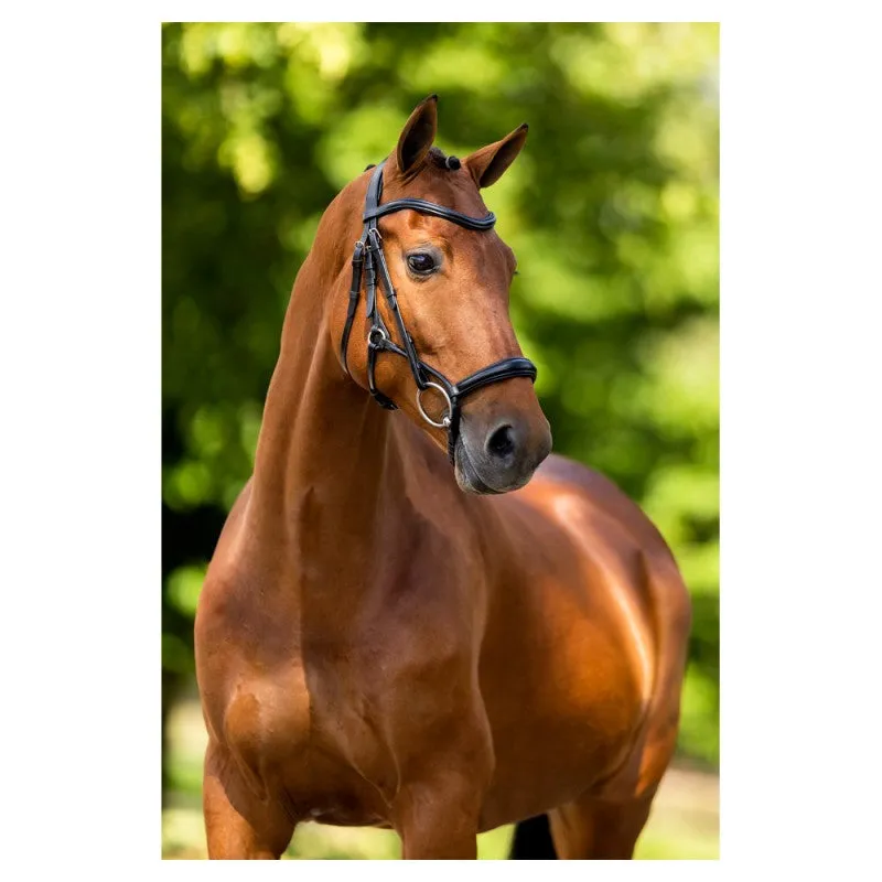 BR Howden Bridle
