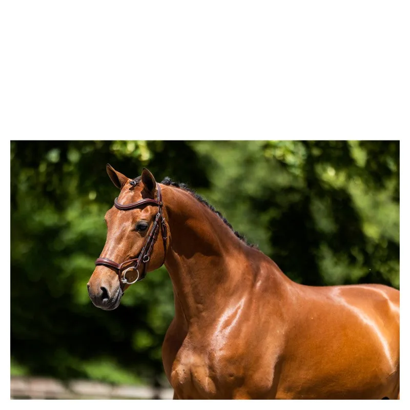 BR Howden Bridle