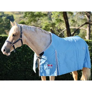 Hamilton Canvas Rug Blue