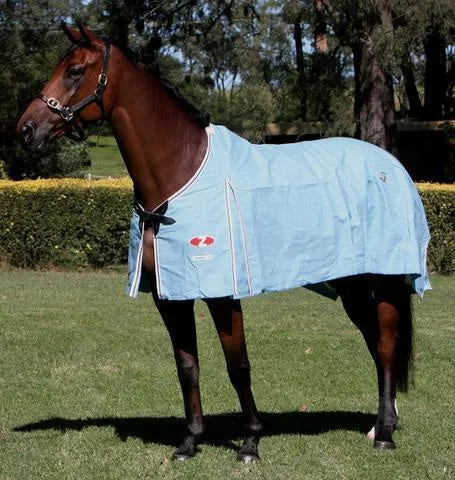 Hamilton Canvas Rug Blue