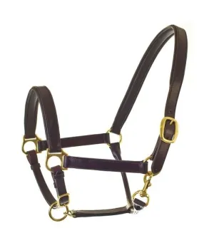 HyCLASS Leather Padded Head Collar