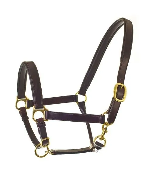 HyCLASS Leather Padded Head Collar