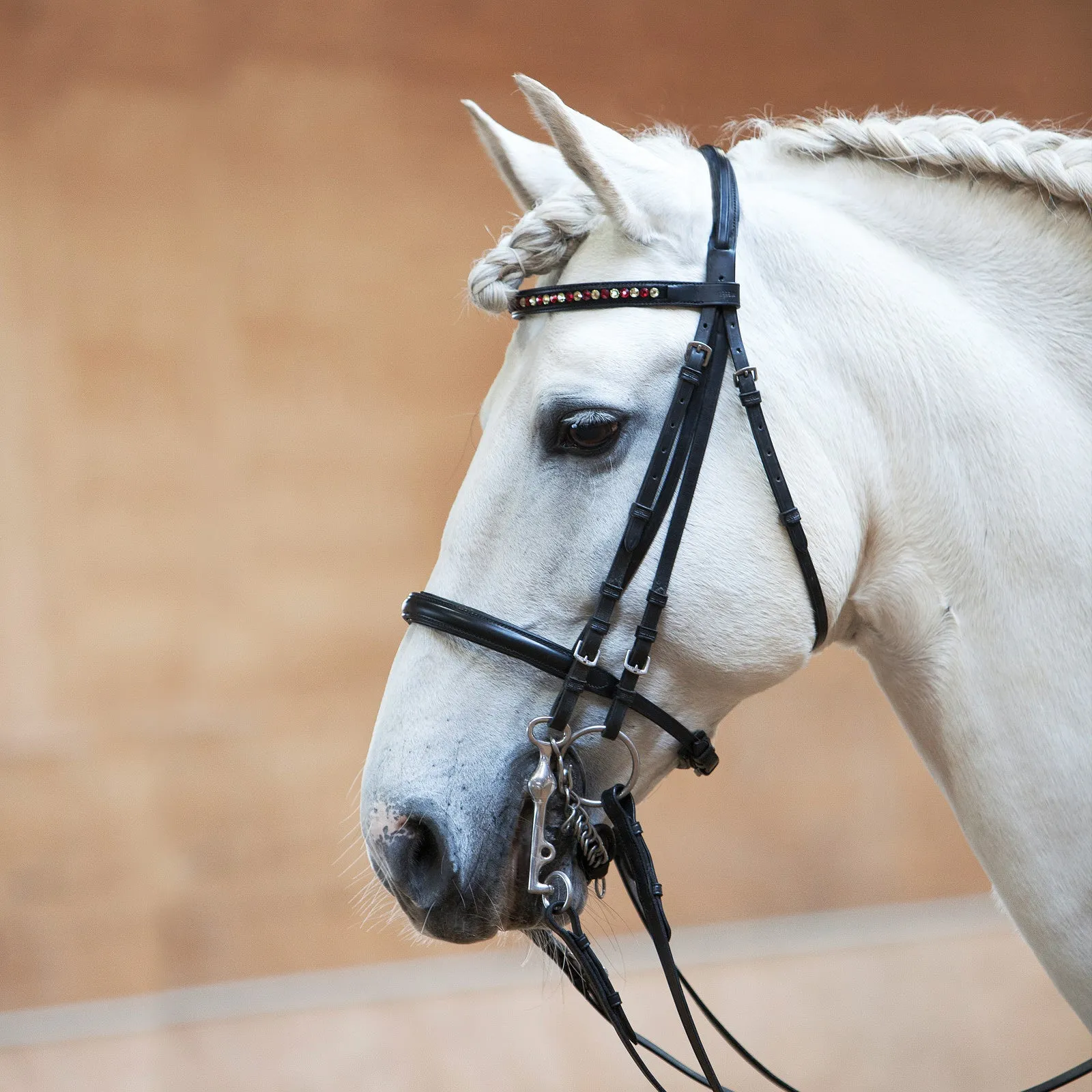 Kieffer Anja Beran Exclusive Double Bridle