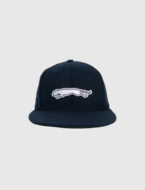 NOAH BB CAP