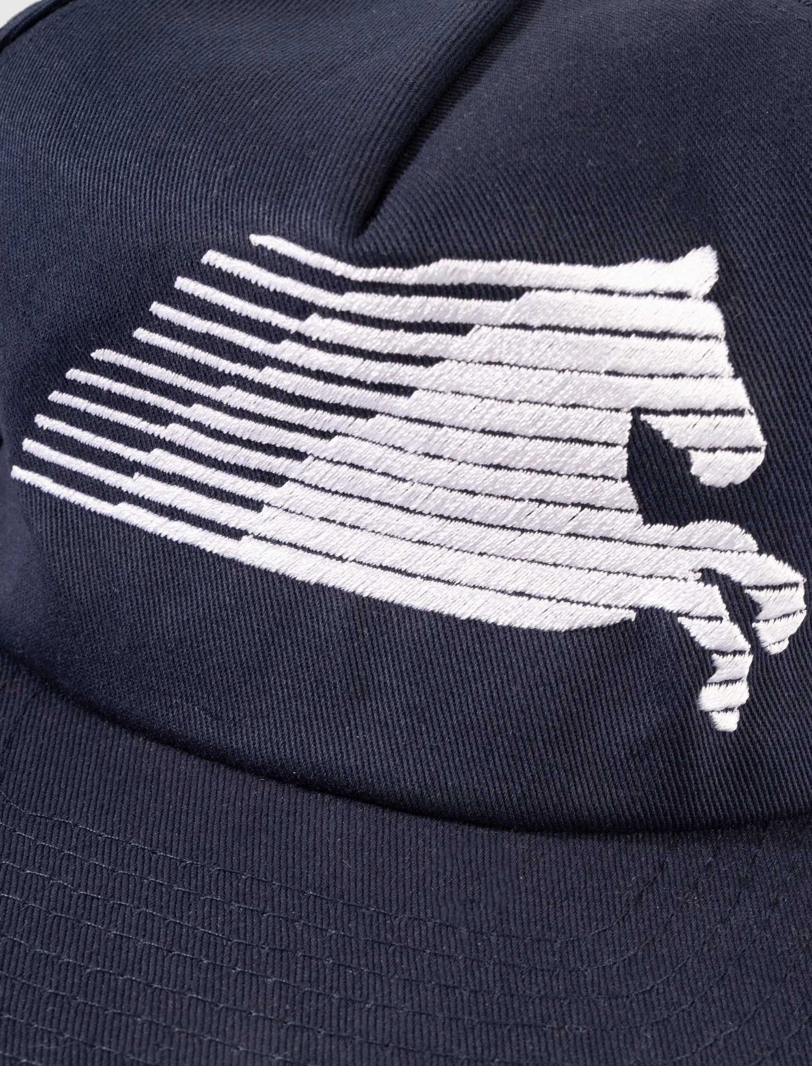 NORTHERN SKY 5-PANEL CAP