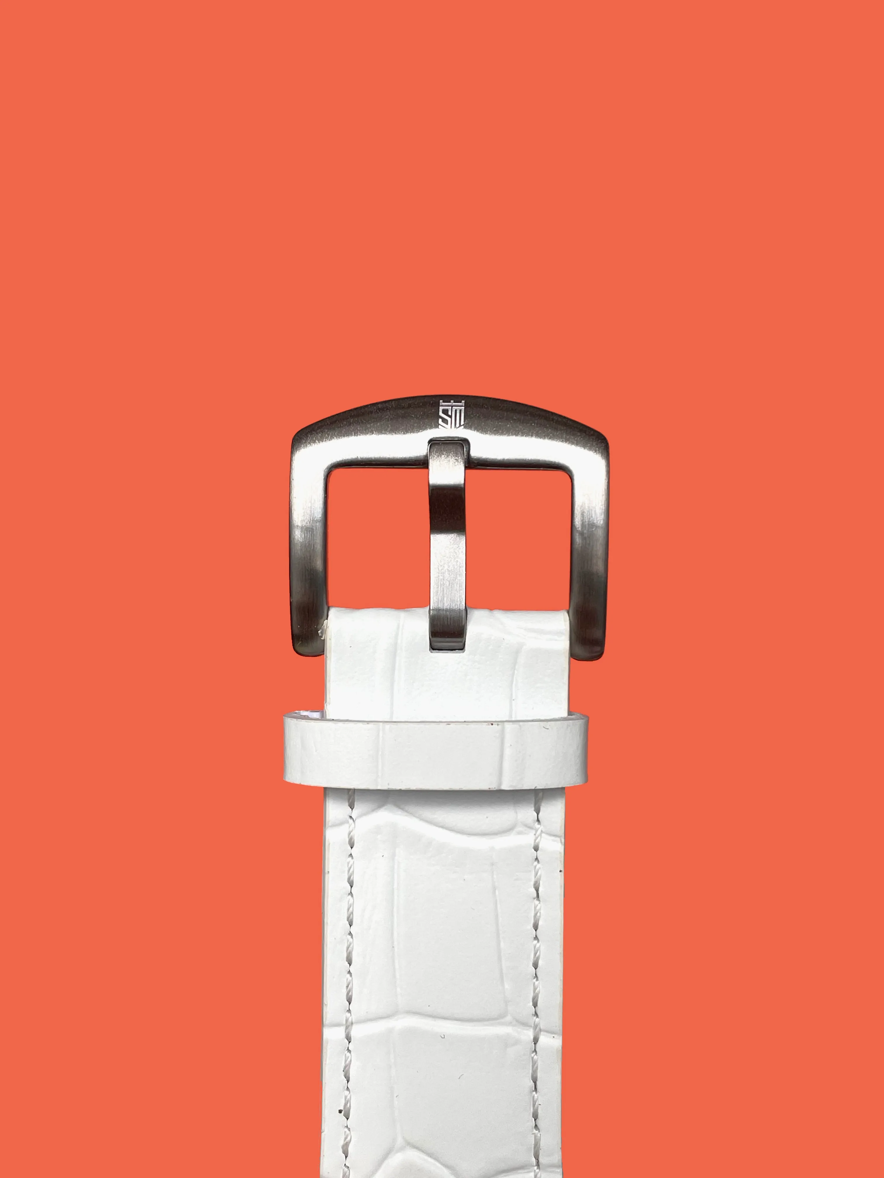 White Alligator - Silver Buckle