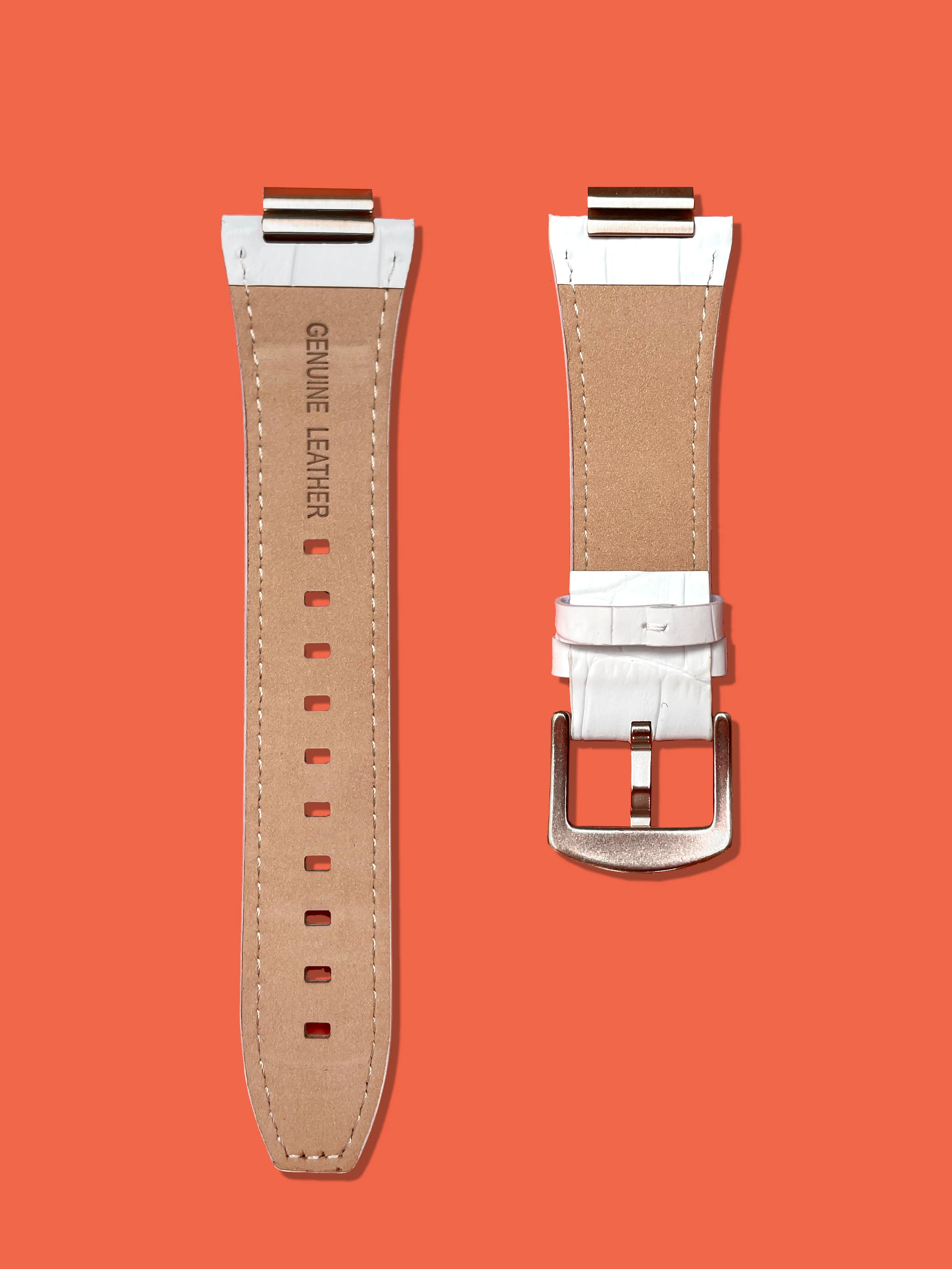 White Alligator - Silver Buckle