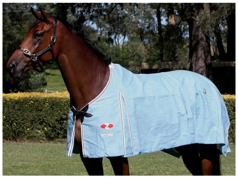 Zilco Hamilton - Combo and Rug